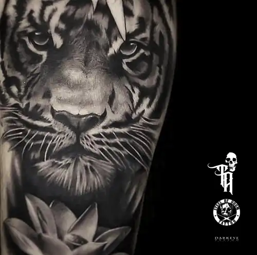 Tatuaje de tigre realismo pot Tony Atichati
